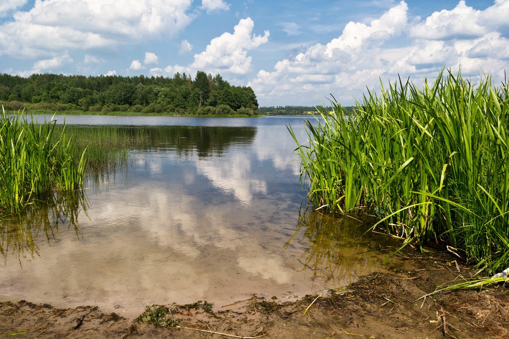 Lake (oder Traum zu warmem Wetter)