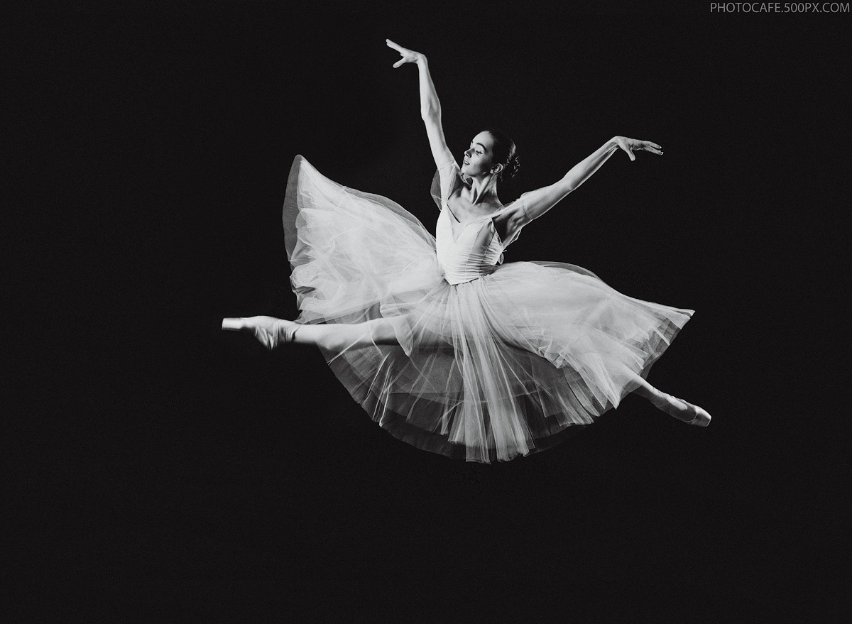 Der Flug des Schmetterlings.