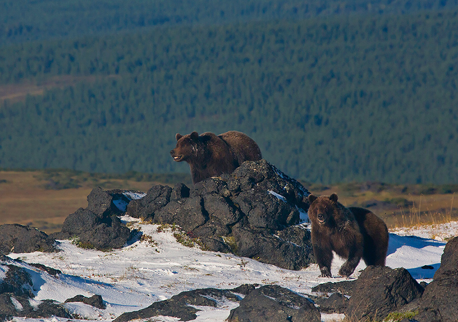 Bei einem Besuch in der Pfannkuchen