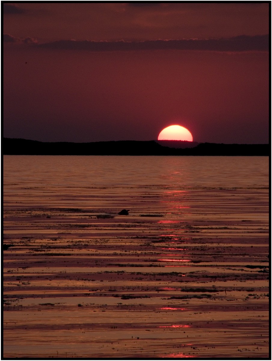 Sonnenuntergang auf der Kiewer Meer