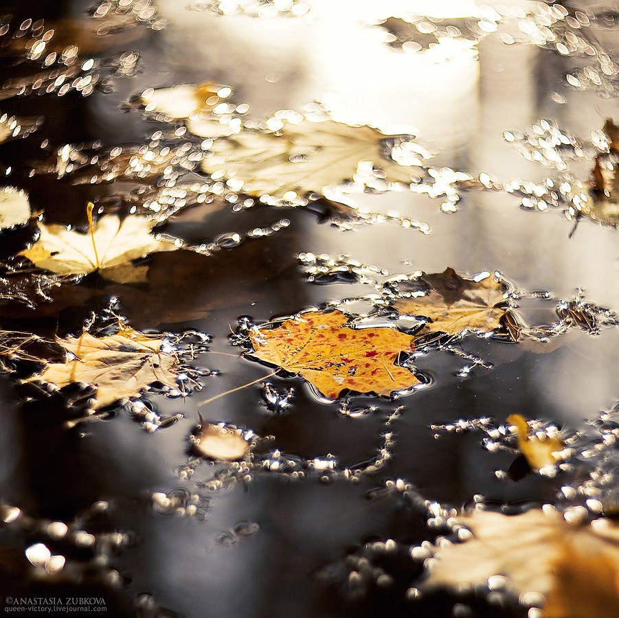 Gold in flüssigem Asphalt