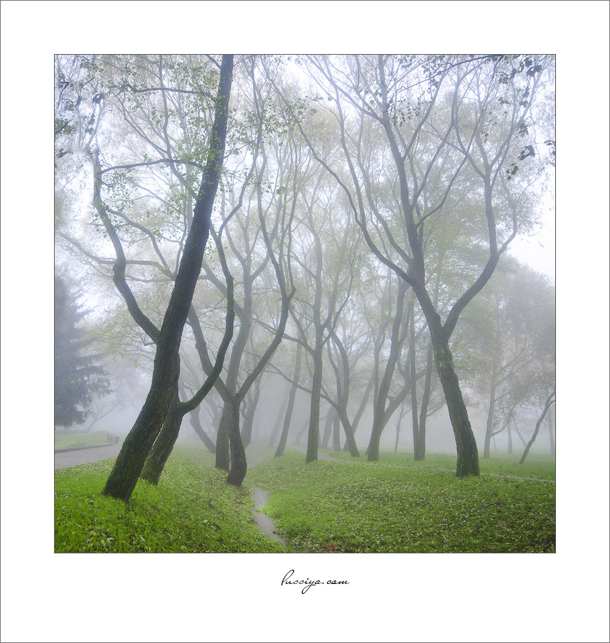 Aus der Serie "Silence"