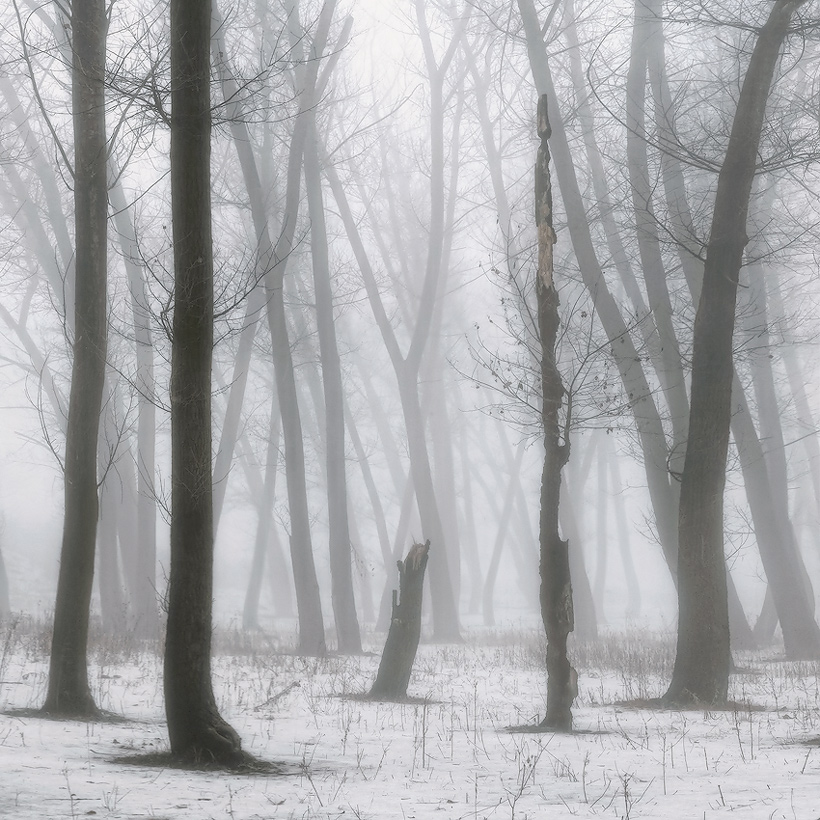 Winter Nebel