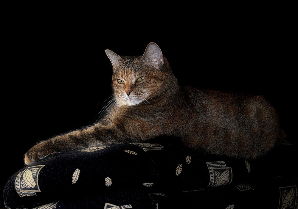 Self-portrait in einem Stuhl