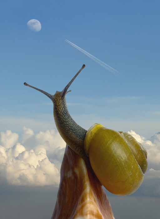 Interessant weit .........