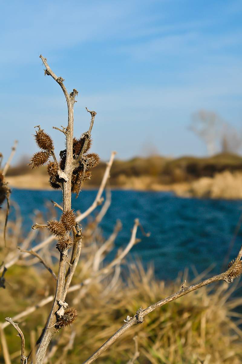 Erster Tag des Frühlings