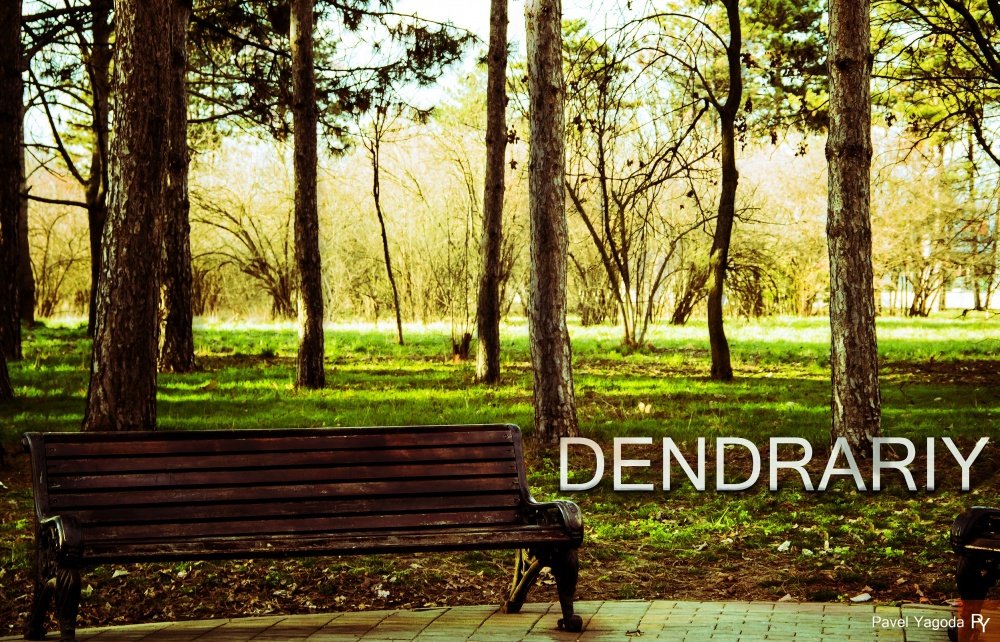 Обложка для альбома "Дендрариум"