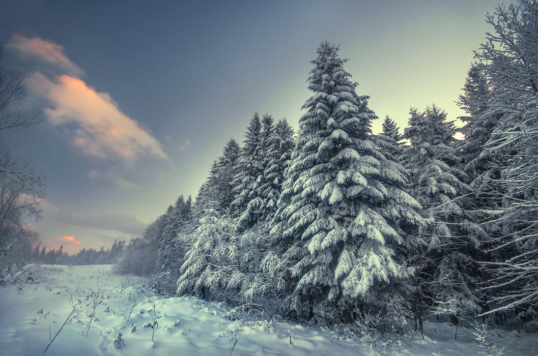Winters Schöpfung ...
