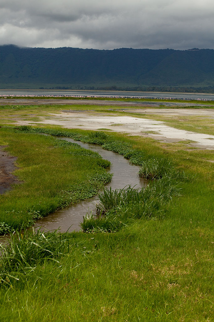Tal der Ngorongoro