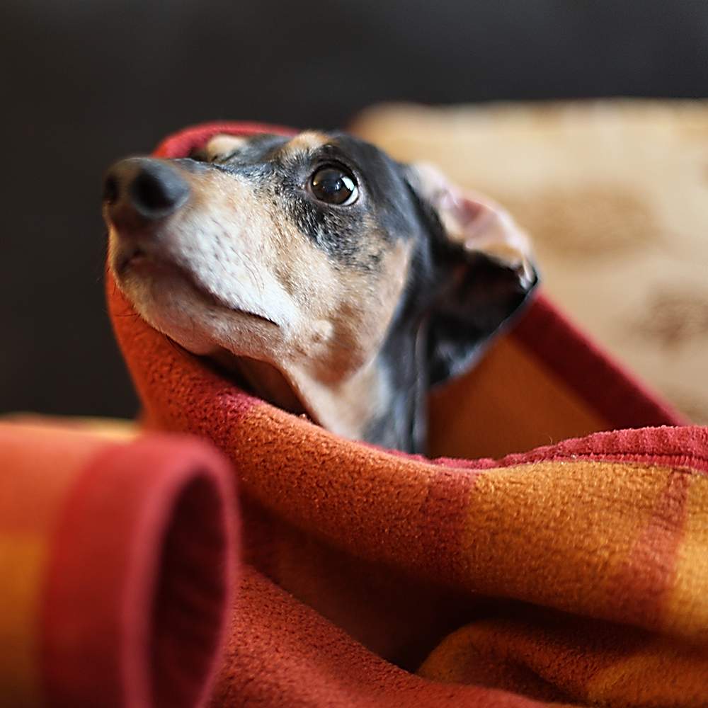 Frühling? Nee, noch nie gehört ...