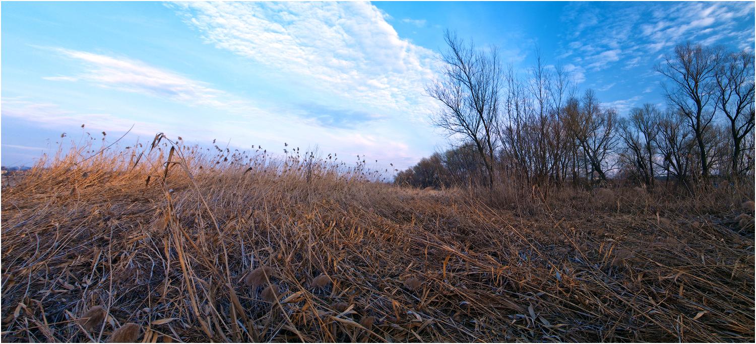 Im Dickicht im Schilf kann verwirrten Seele werden!
