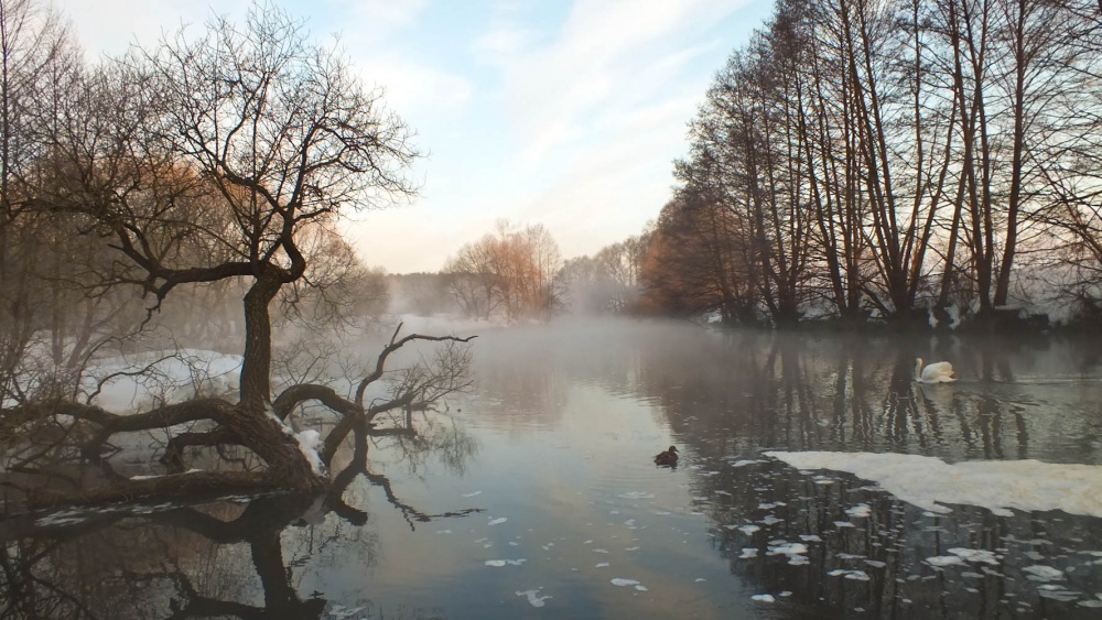 Morgen auf dem Fluss