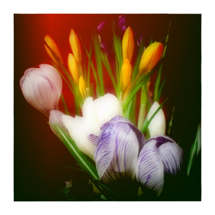 Herzlichen Glückwunsch!