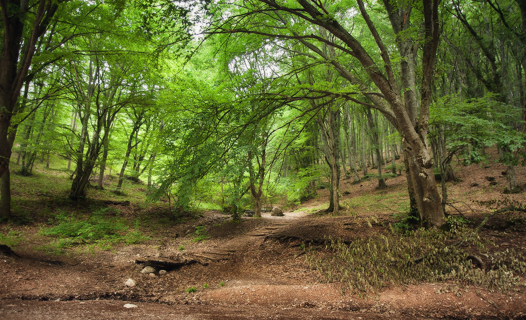 Auf dem Weg zum Chatyrdag