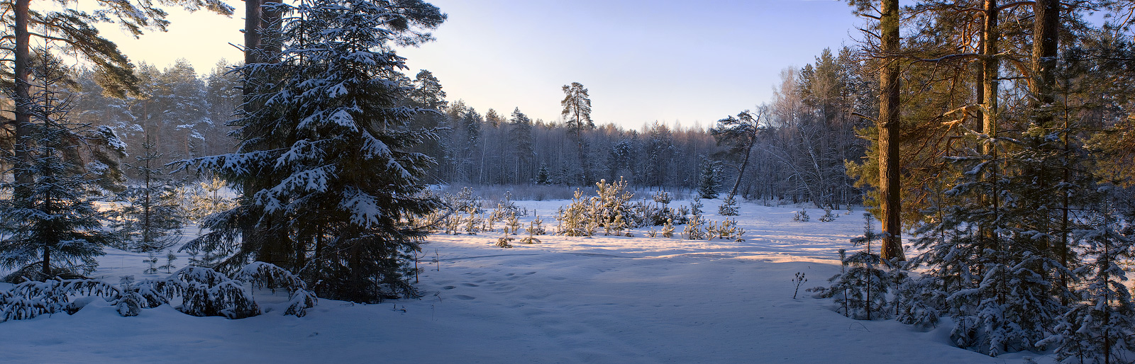 Die ersten Strahlen der Morgensonne frost