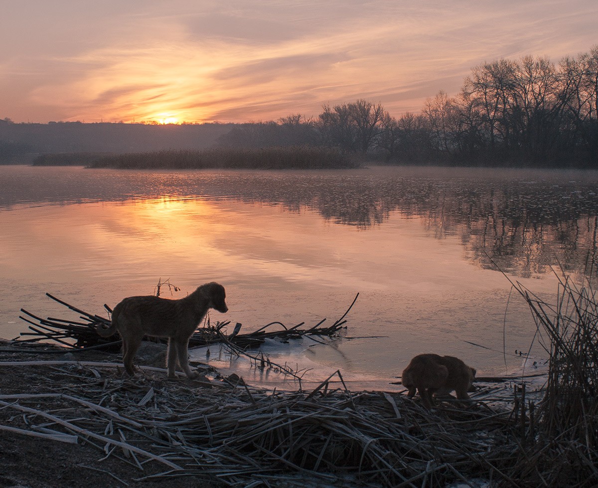 Morgen Bewässerung.
