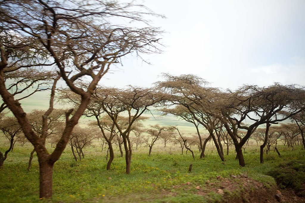 irgendwo in Tansania