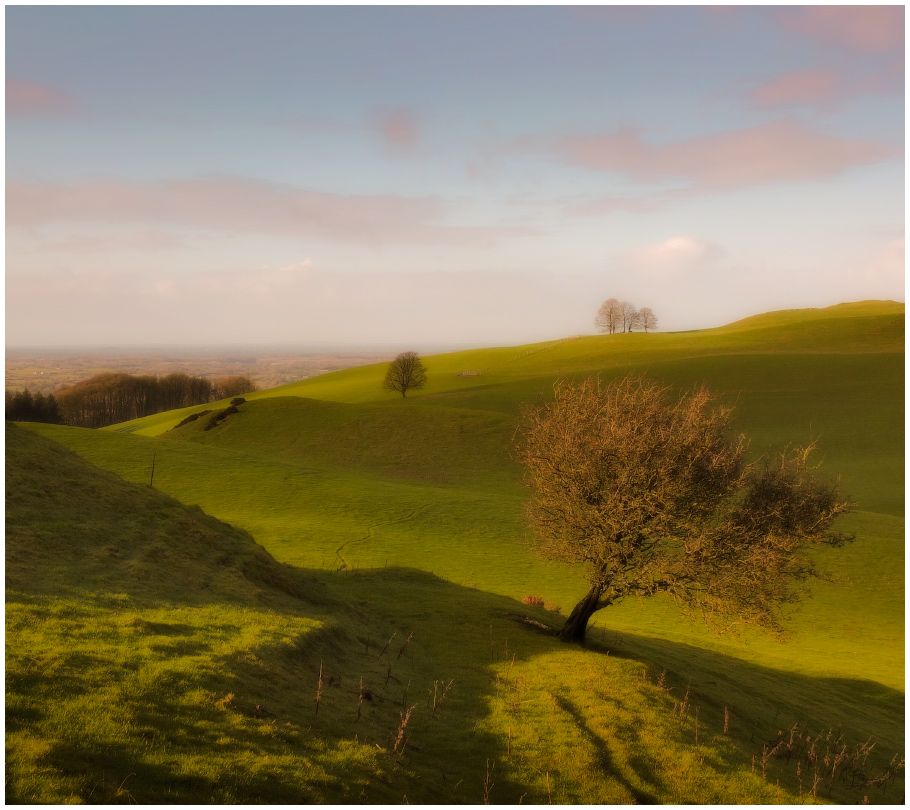 An den Hängen des ......