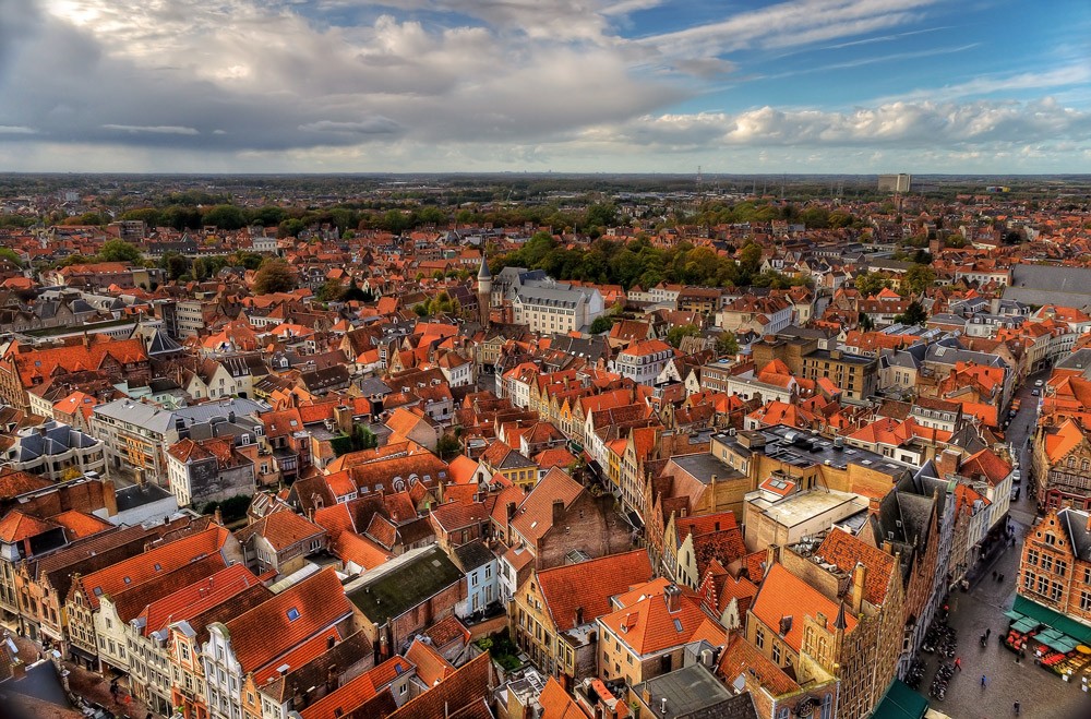 Bruges Vogel