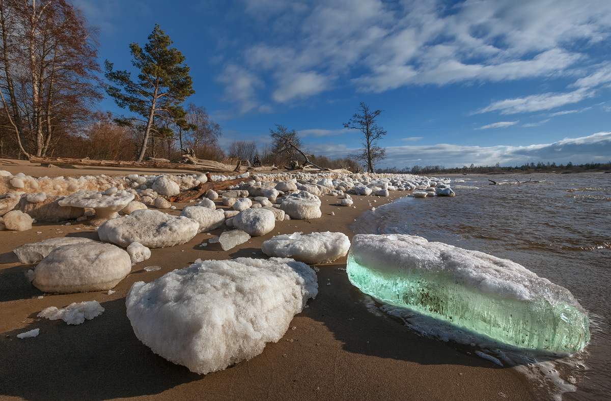 Verspätete Frühjahr
