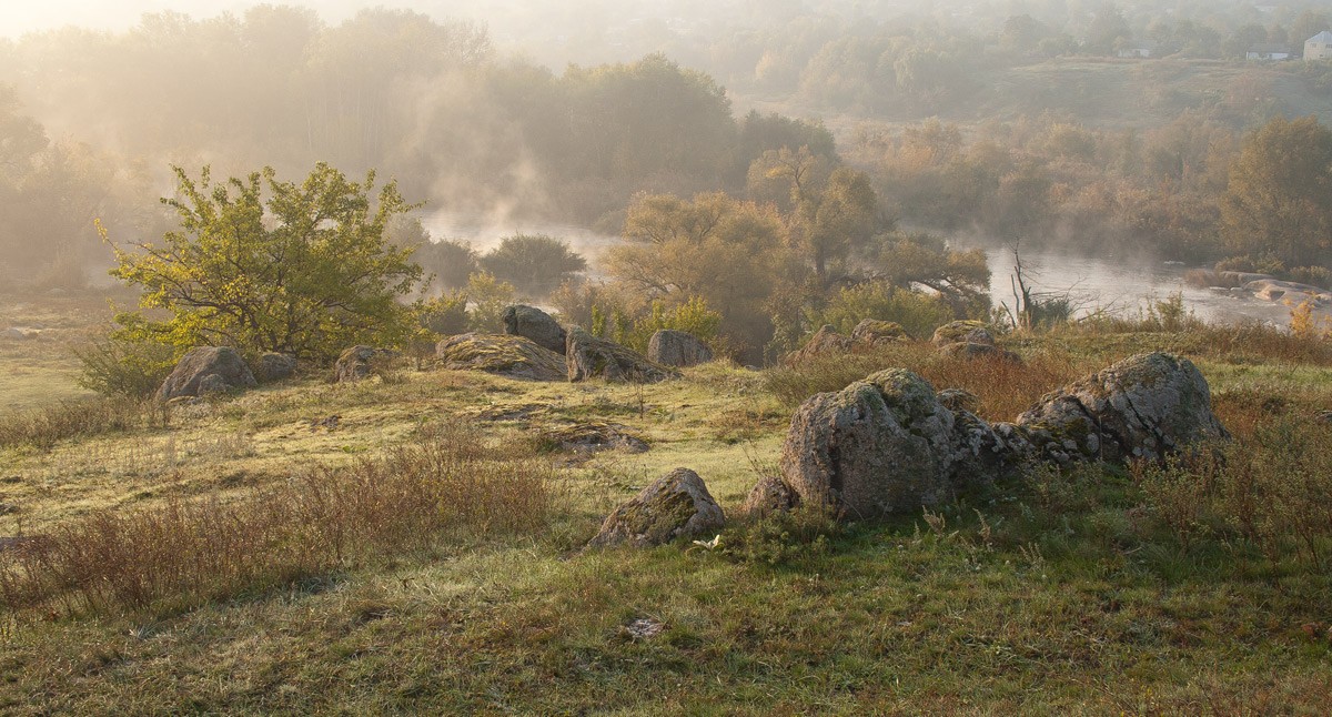 Landschaft Bug Guard.