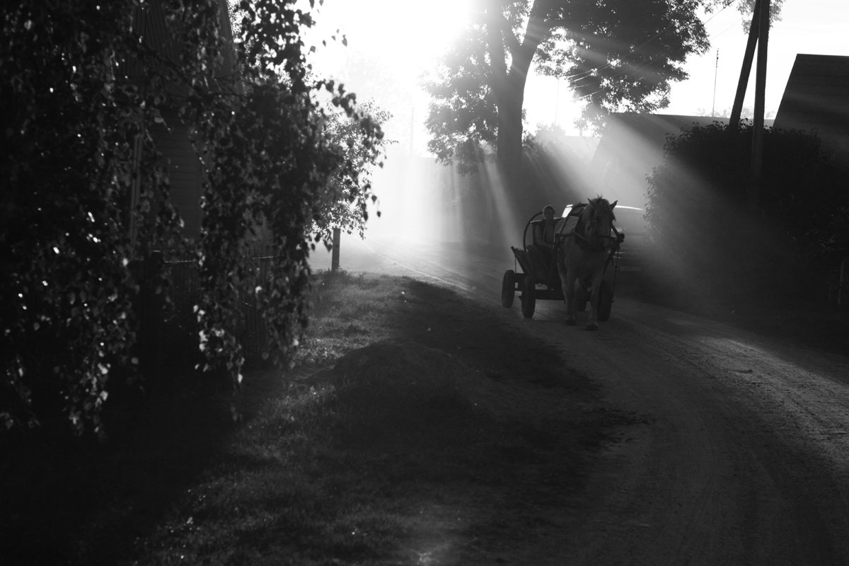 Licht, das durch den Rauch