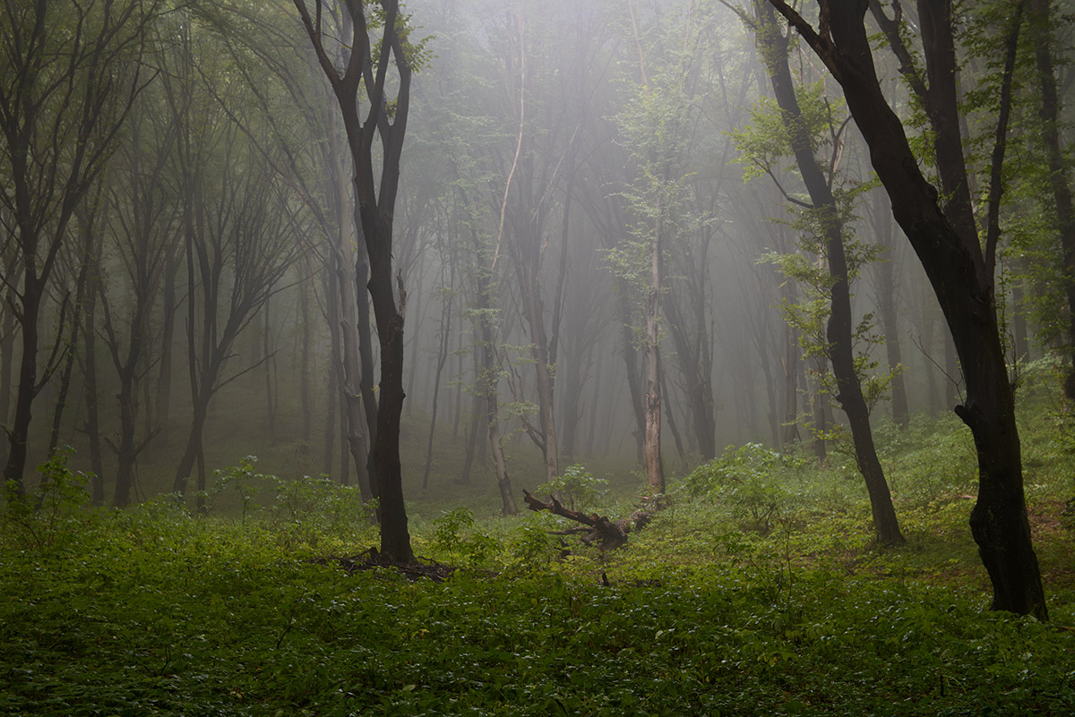 Dort auf unbekannte Tracks ...