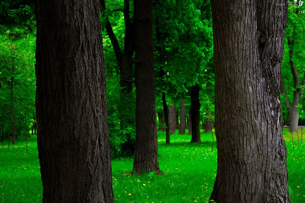 Konnte nicht passieren)