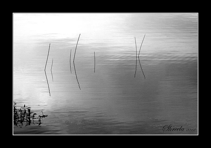 Anzeichen von Wasser 3