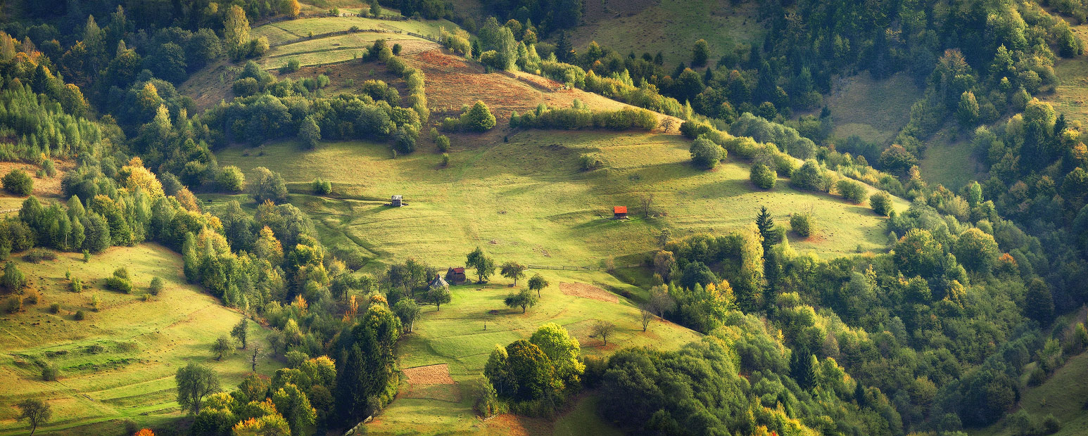 Über einen kleinen Garten auf einem großen Hang