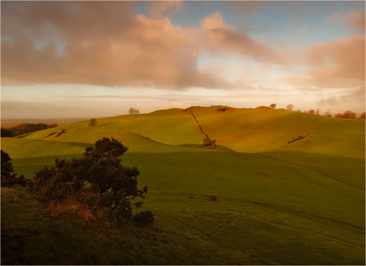 ... Über die Wacholder und Morgen paint ...