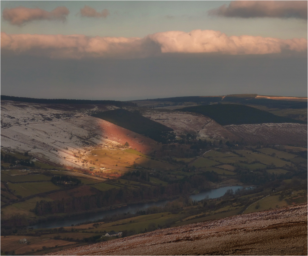 Morgendämmerung ... "Bunny" ...