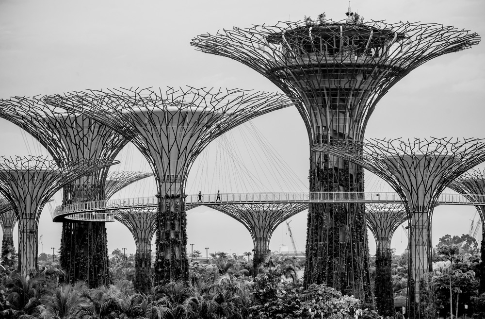 Das achte Weltwunder