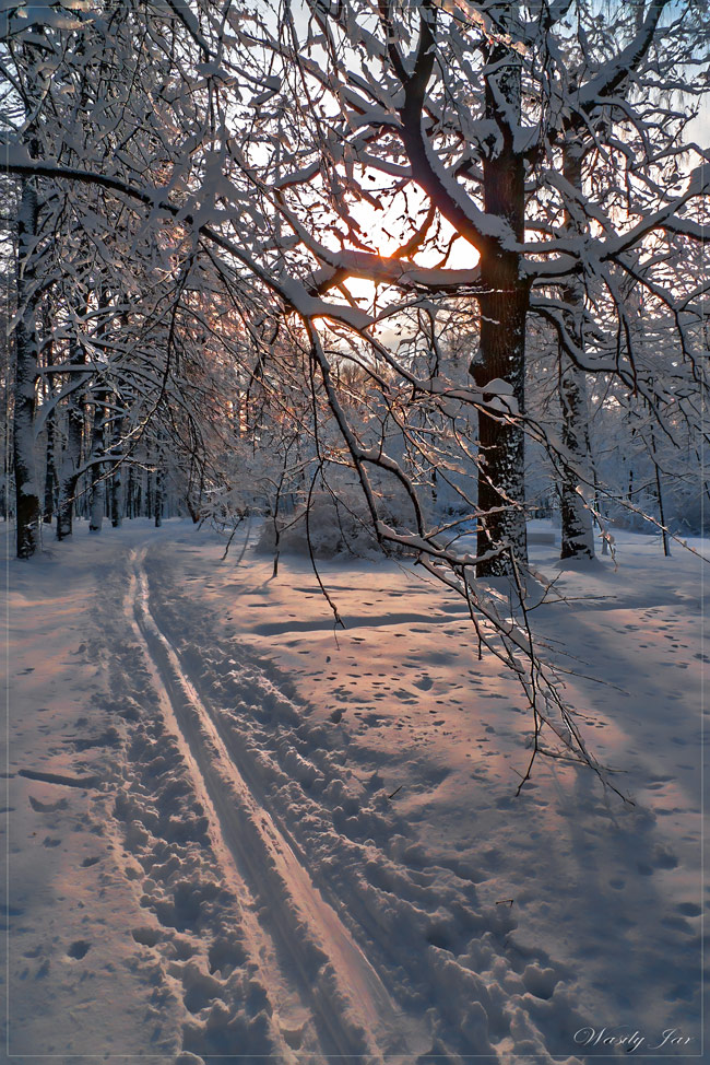 Winter verlässt ...