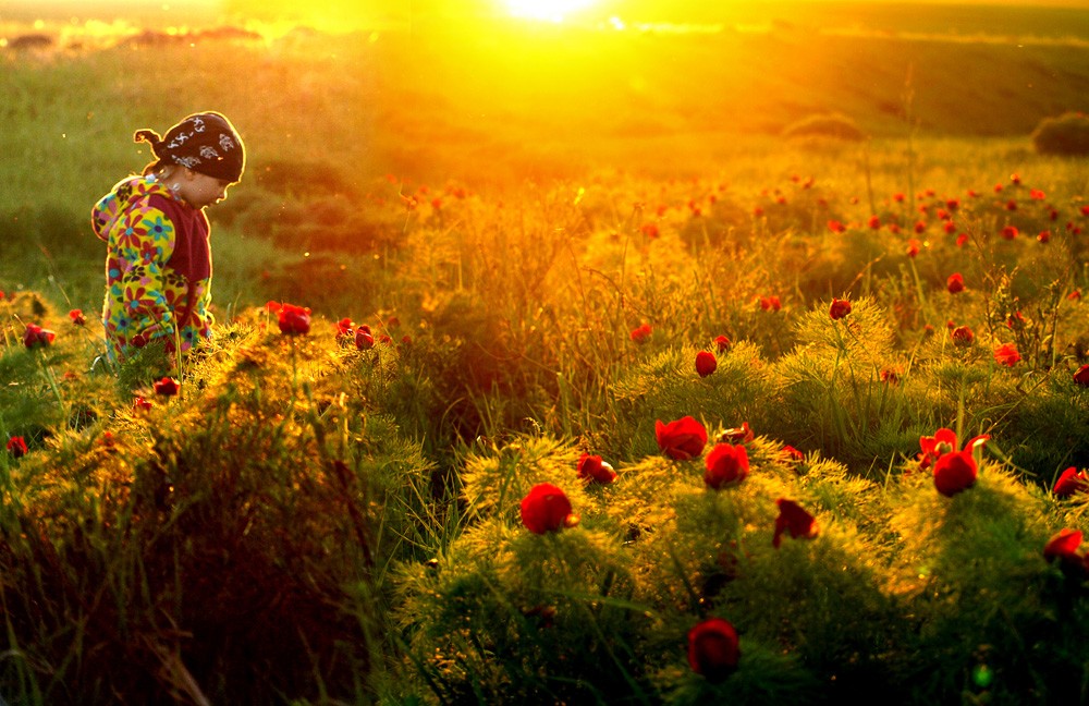 Im Reich des Lichts und Motten