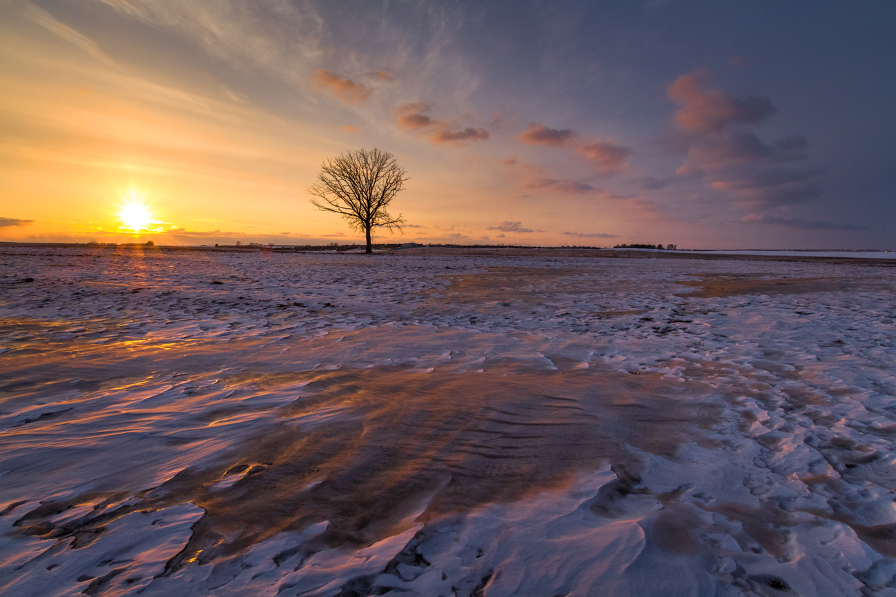 Frühling Abstraktion