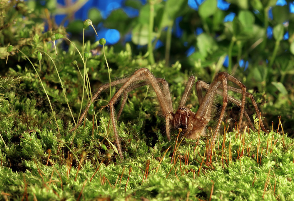 What a wonderful world!