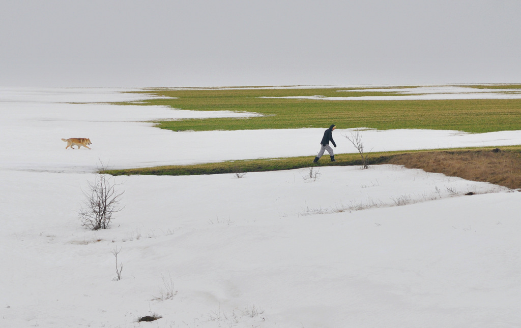 Frühlingsspaziergang