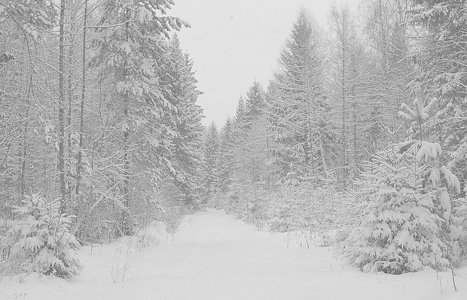 Die Erinnerung an London