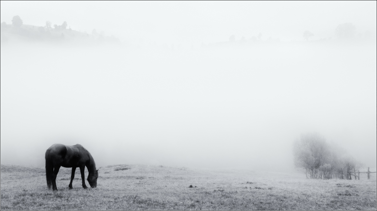 / Zakarpate.Osen.Utro ..... /