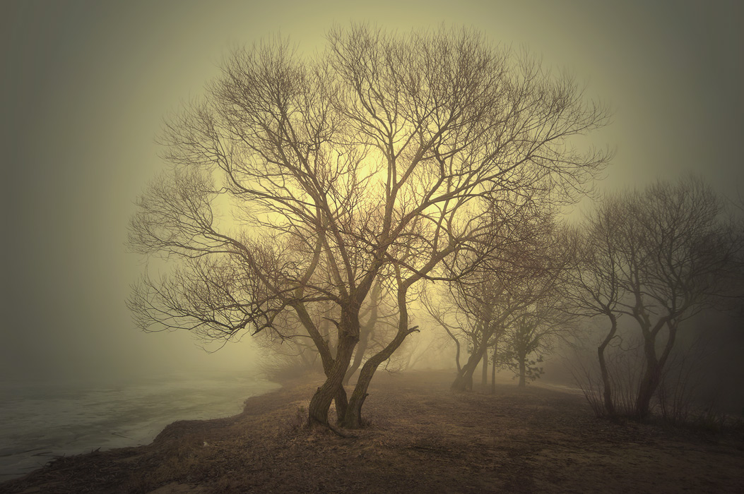 Eines Tages im Frühling ...