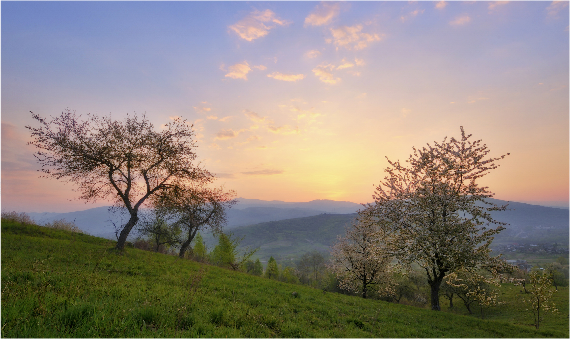 Matins-Frühling ...