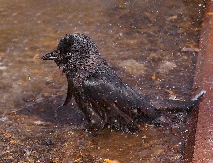Frühling Wasseraufbereitung
