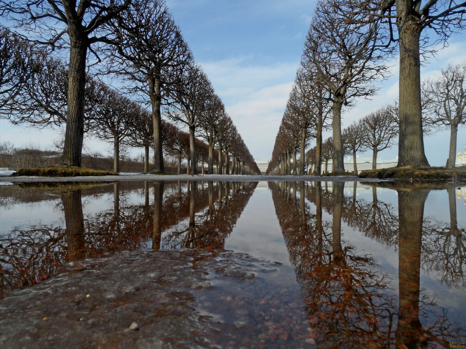 Frühling in Peterhof. April