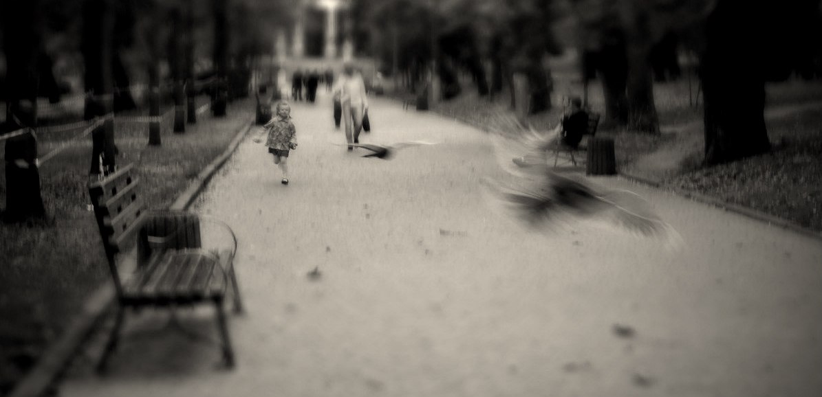 Zeit, wie die Vögel