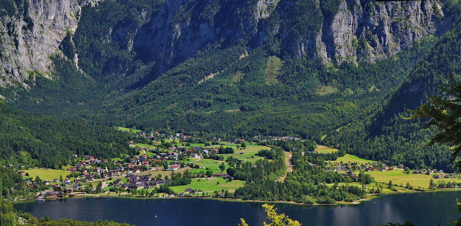 des gescannten Bereichs :)