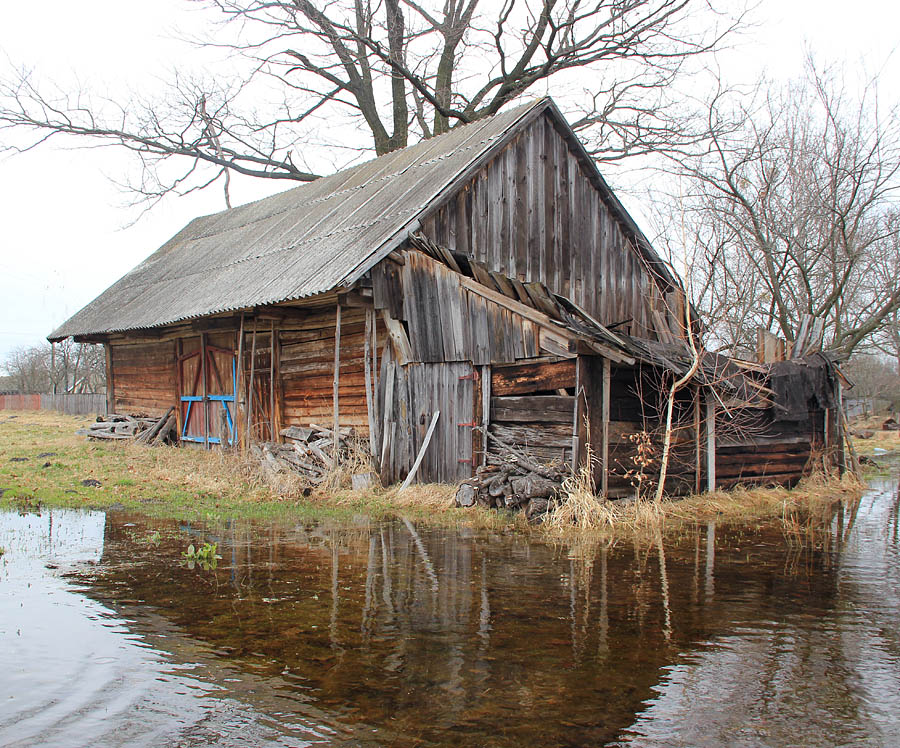 Etnoarhitektura Polessya