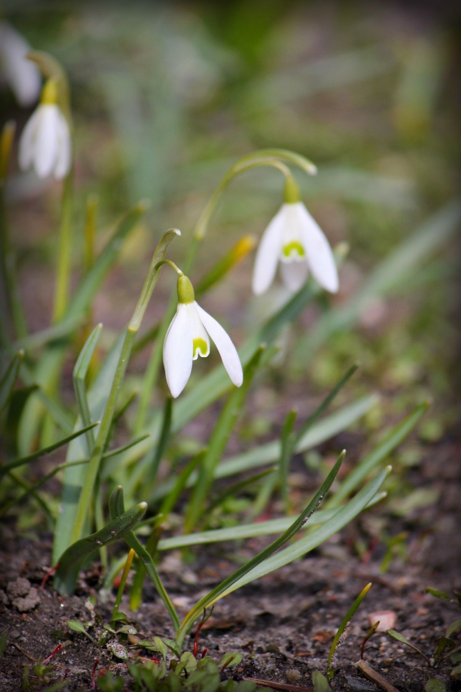 Wir sind die erste ....