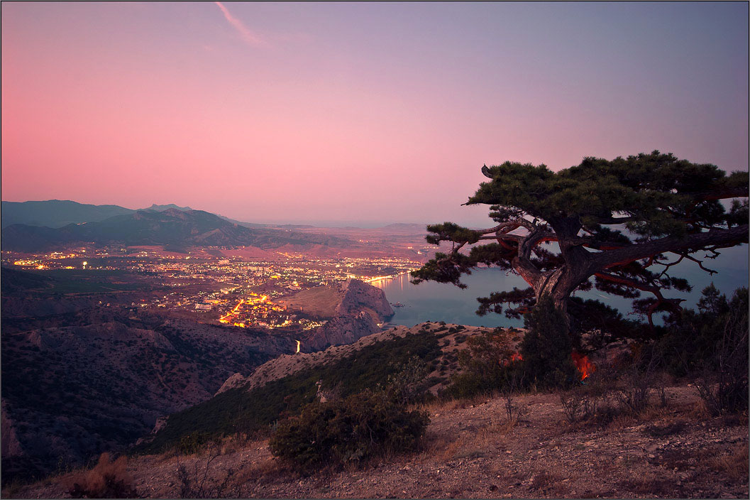 Und noch ein Tag ...