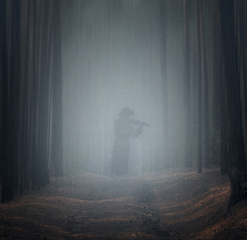 Spirit of the forest